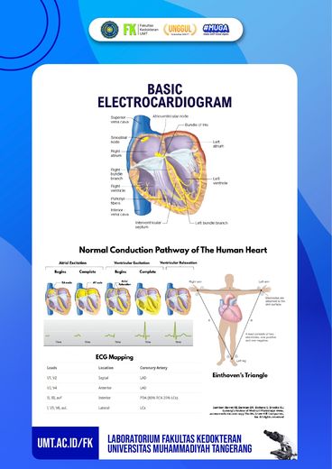 Poster edukasi: Basic Electrocardiogram