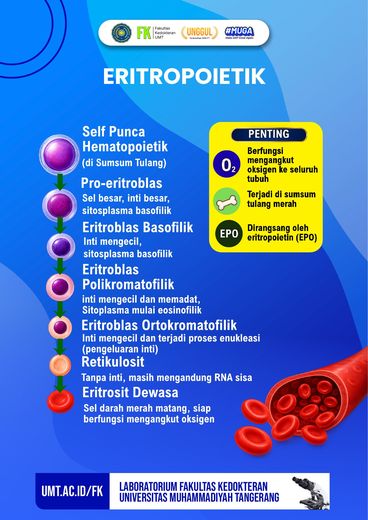 Poster edukasi: Eritropoietik