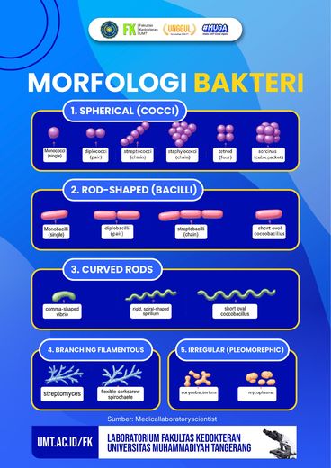 Media edukasi morfologi bakteri di Laboratorium Mikrobiologi