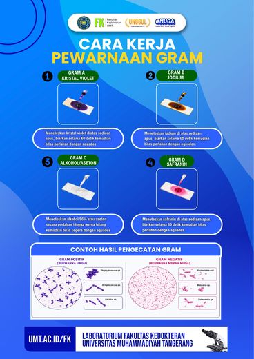 Poster edukasi: Cara Kerja Pewarnaan Gram
