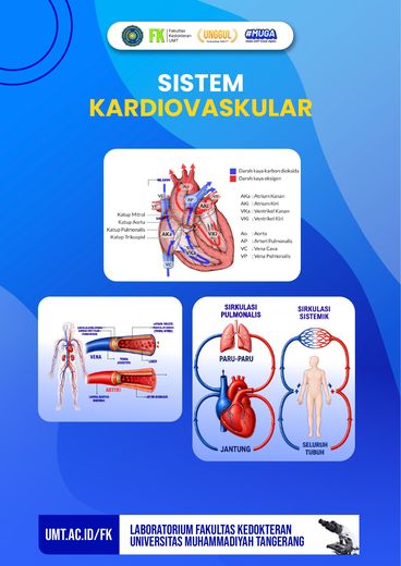Poster edukasi: Sistem Kardiovaskular