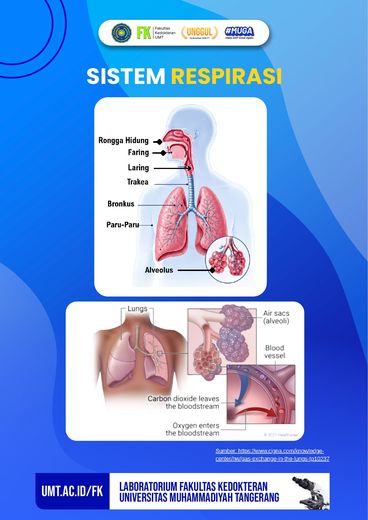 Poster edukasi: Sistem Respirasi